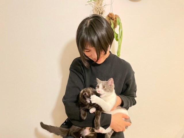 希少 【古伊万里 招き猫】非常に珍しい黒 完品 猫好きさんへ-