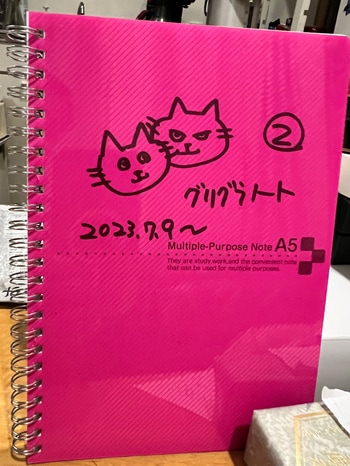 老舗フラメンコスタジオの看板猫は、シニアの黒猫姉妹！【シニア猫のお話】_img0