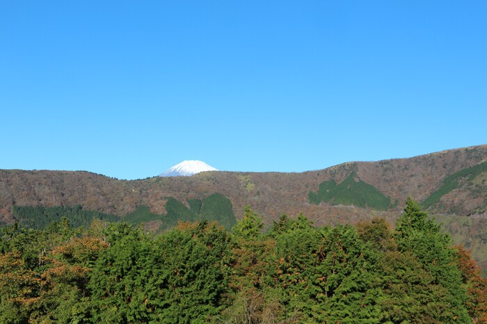 美食にアート、温泉も！　箱根の美しいオーベルジュで最高の休日をスライダー1_2