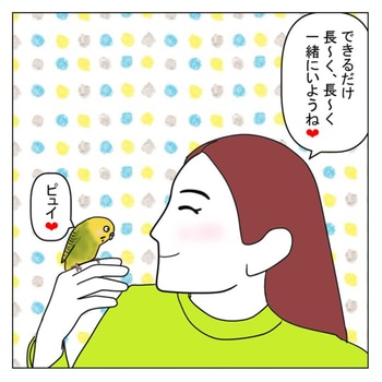 セキセイインコの賢さに驚きの日々。怒ったときに見せた「意外な行動」_img0