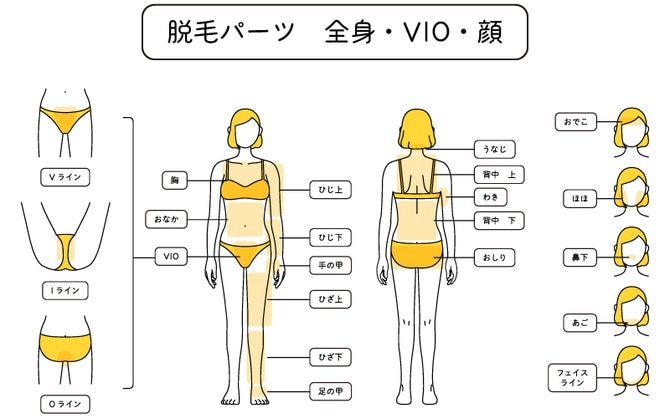 医療機関で全身脱毛5回19万円（１回あたりで換算すると3.8万円）
医療機関で全身脱毛5回30万円（１回あたりで換算すると６万円）
医療機関で全身脱毛10回30万円（１回あたりで換算すると３万円）
医療機関で全身脱毛40万円エステで全身脱毛25万円
