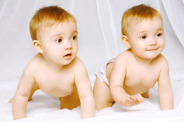 卵 双生児 一 性 一卵性双生児の双子兄弟が双子姉妹と結婚、そして同時に妊娠発表！すべてがお揃いの双子カップルに祝福の声（2020年8月26日）｜BIGLOBEニュース