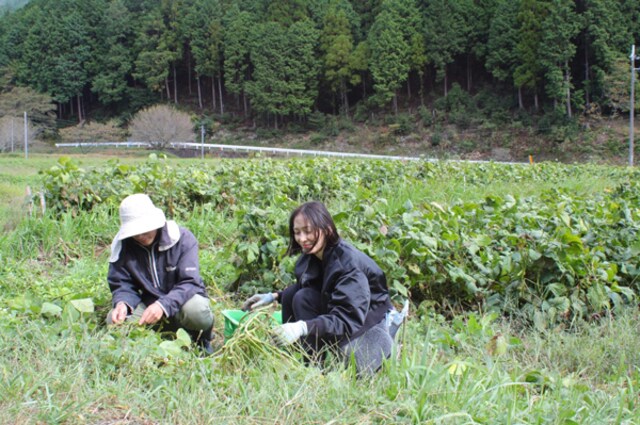 茶香炉、フエギア、青森ヒバ...暮らしを彩るお気に入りの３つの香り