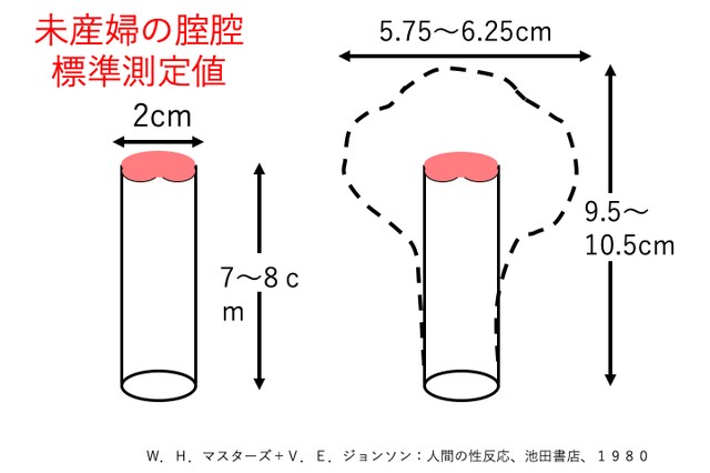 セックスの悩みを助長する 誤解だらけの性知識 オトナのための性教育 Mi Mollet ミモレ 明日の私へ 小さな一歩 2 2