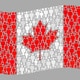 【カナダ大使館が回答】留学先にカナダがおすすめな７つの理由