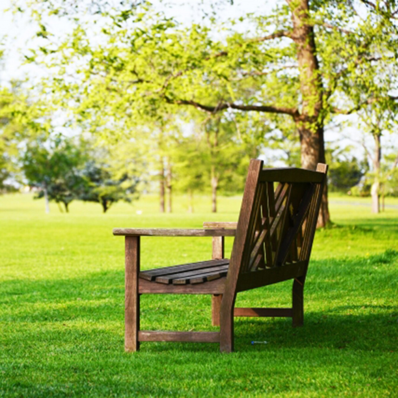 ほとんどの女性が経験するという 膣萎縮 のナゾ 大人だから知っておきたい デリケートゾーン 10のこと Mi Mollet ミモレ 明日の私へ 小さな一歩