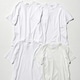【白Tシャツ徹底比較】透けないのは？スッキリ見えしてるのは？ 人気４ブランドで調査
