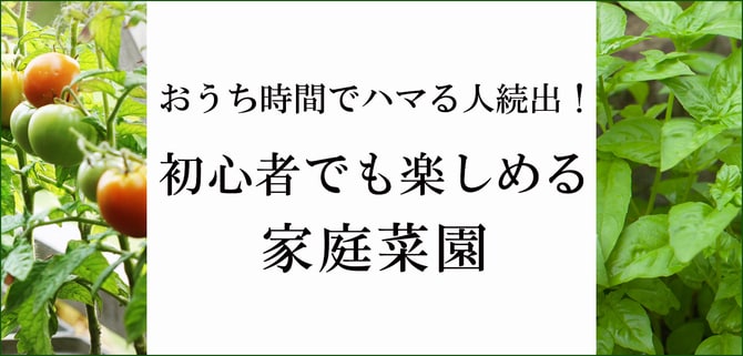 話題の癒しスポット！表参道の空に浮かぶ“循環する”菜園【野村友里さん】