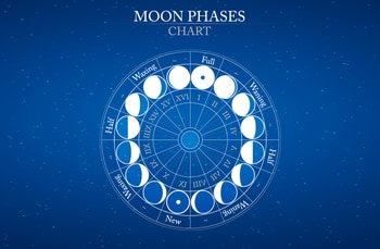 あなたの「月」の場所を調べれば花開く人生ステージがわかるって本当？