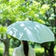 今夏も完売必至！「サンバリア100」の完全遮光日傘＆「モンベル」の128グラム超軽量傘