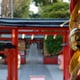  【2022年初詣】運気が上がる「3つの神社」星読みyujiがおすすめ！