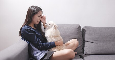 イヌは飼い主をなぐさめたりしない！？人間が勘違いしている動物の行動とは？_img0